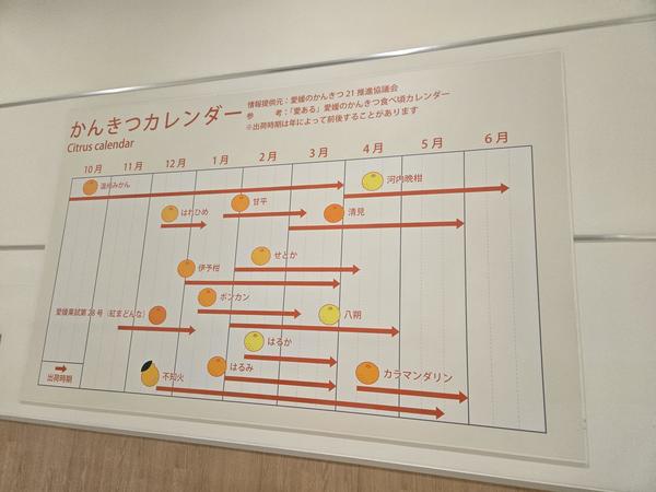 ふーかの！！！