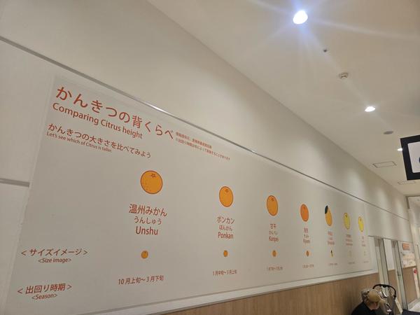 ふーかの！！！