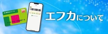 エフカについて_バナー.jpg