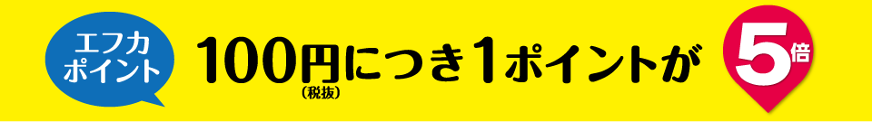 エフカポイントの100円（税抜）につき1ポイントが5倍