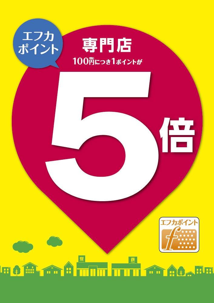 本日エフカポイント5倍です！