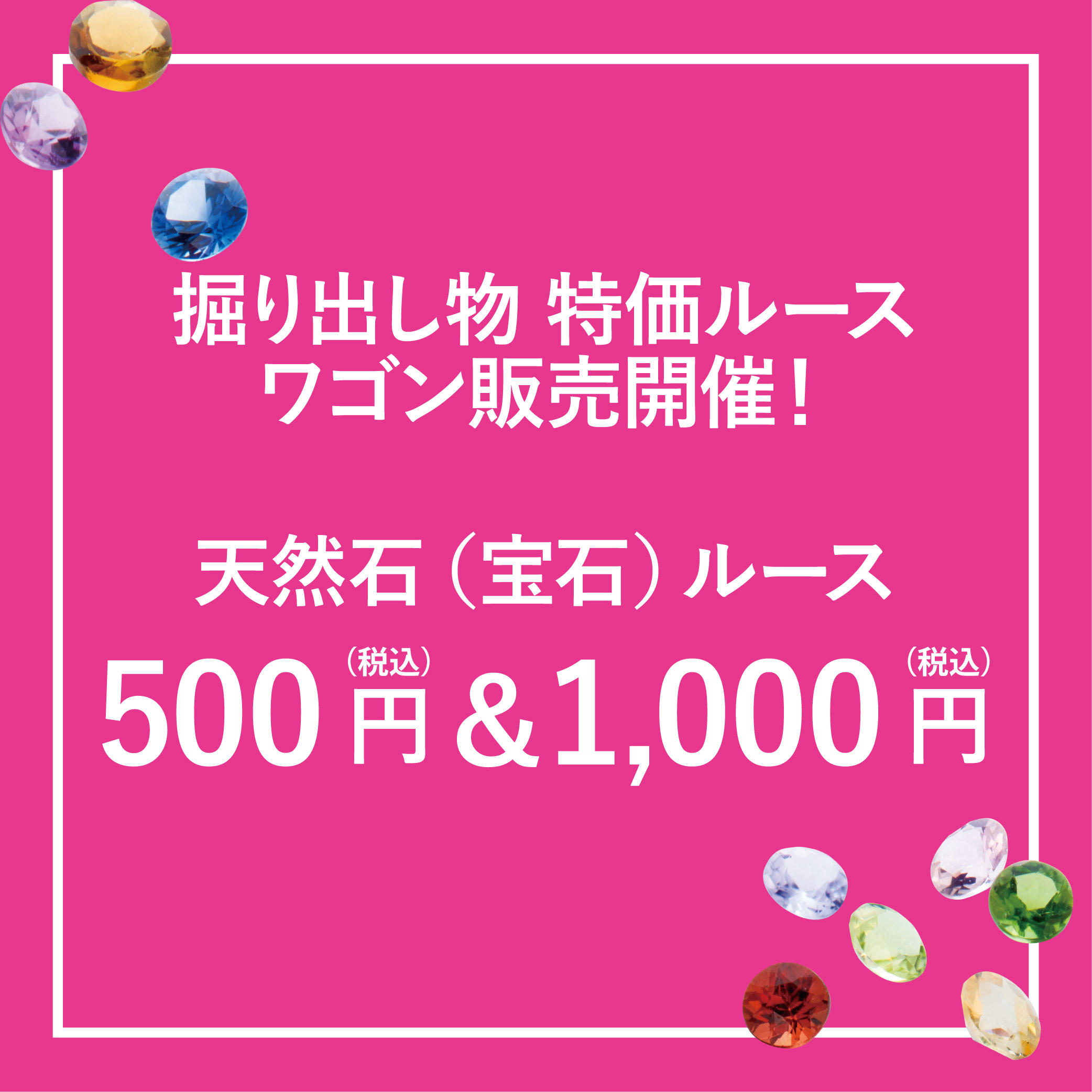 【期間限定】ミネラルルース ワゴン市 開催