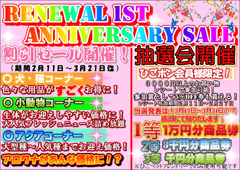 定型文外部配信用画像.PNG