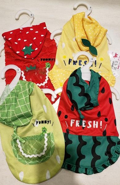 2023年　春夏洋服入荷！！