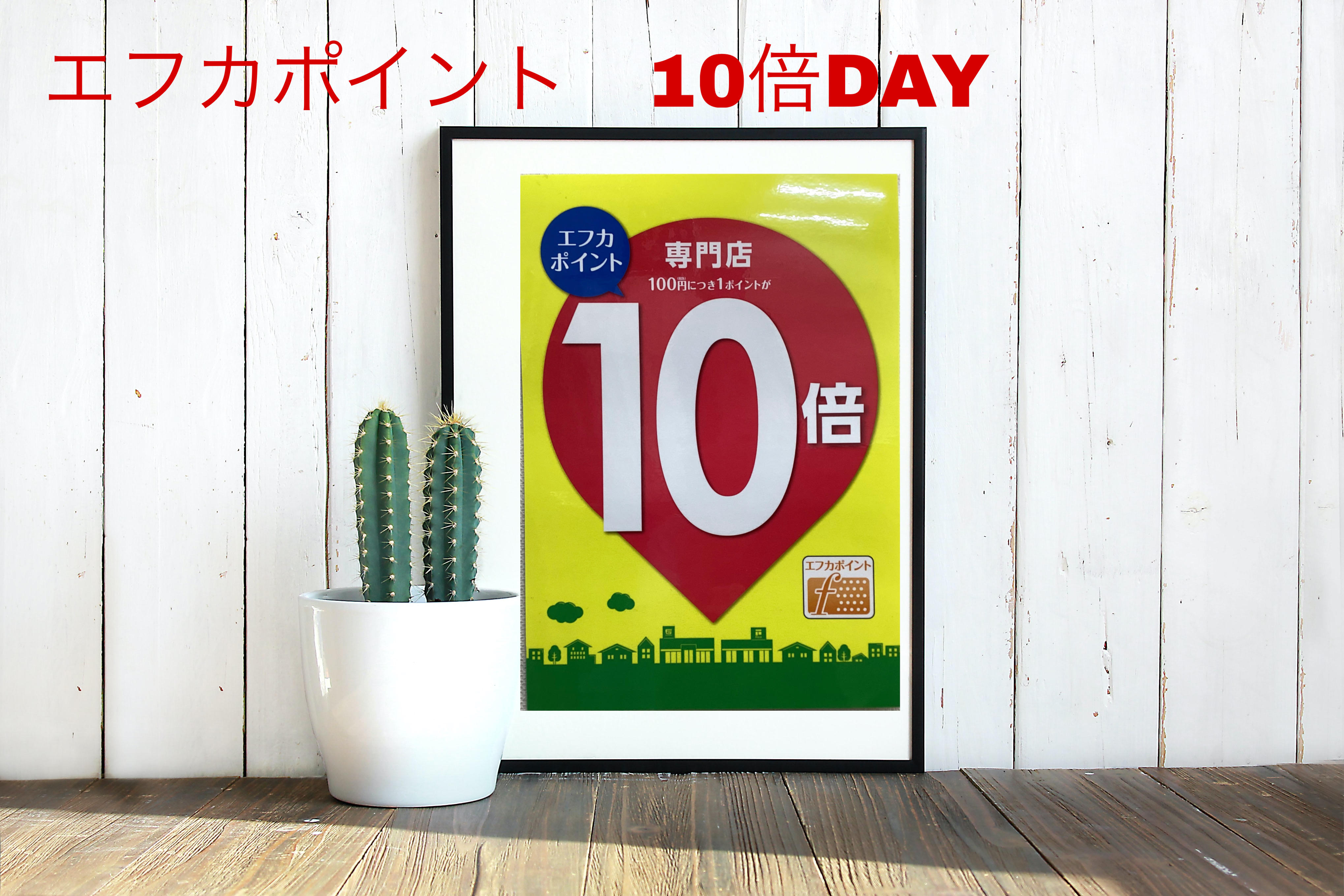 エミフェスはエフカ10倍