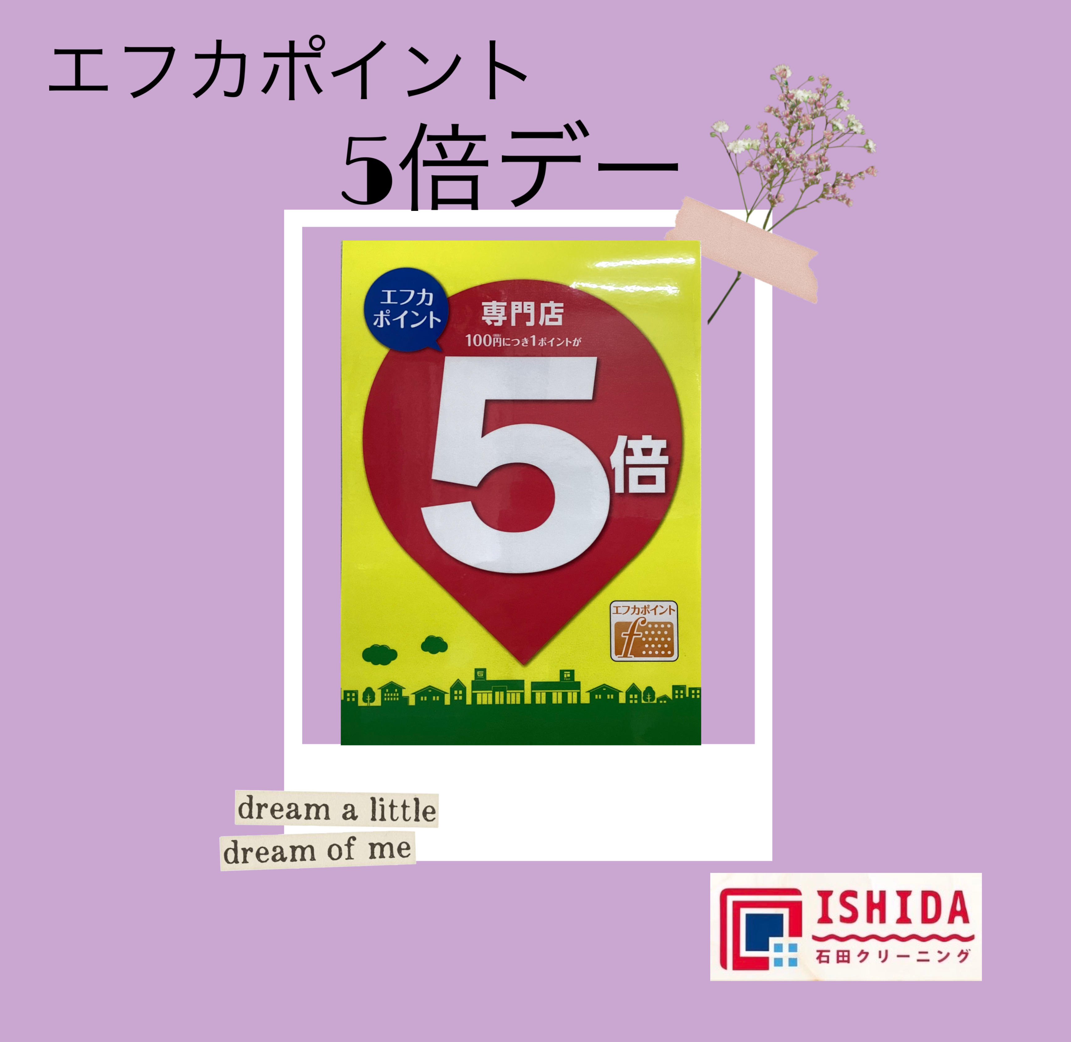 エフカポイント5倍‼︎