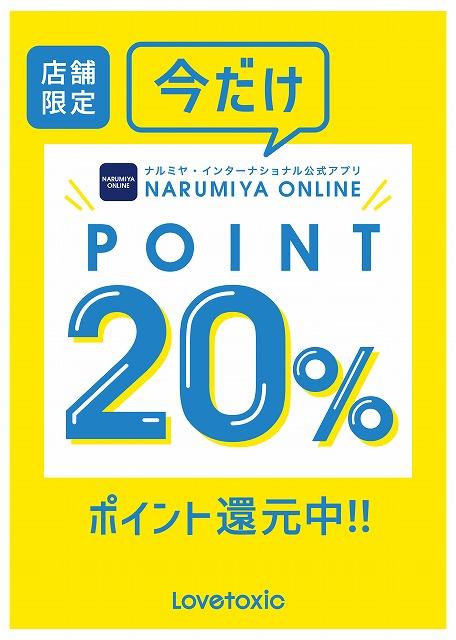 LT_A4_ホﾟｲﾝﾄ還元_黄_20%_店舗限定.jpg